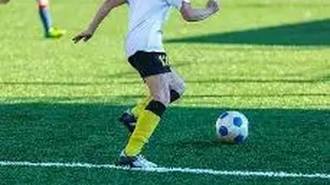 澳网赛事选手名单揭晓：七位中国球员成功晋级，纳达尔强势归来